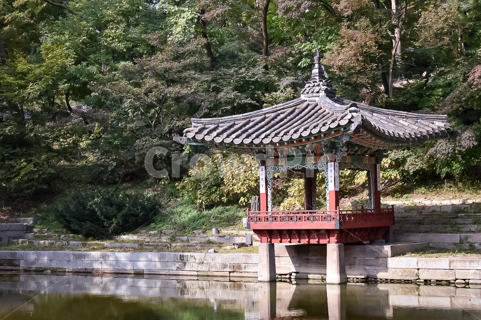 창덕궁,연못,정자,고궁,후원