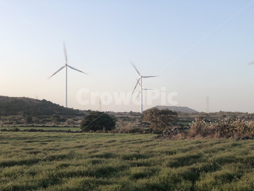 제주도들판,제주도,들판,여유,풍경