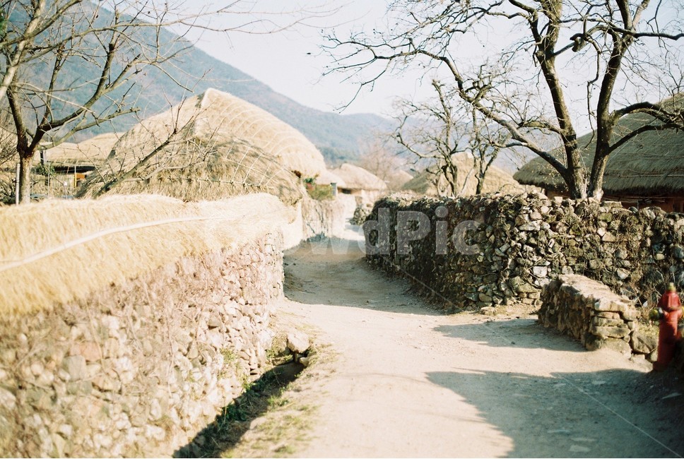 낙안읍성,민속마을,조선,초가집,필름카메라,돌담길,film,순천,낙안,성곽,마을,oldtown,old,road,시골,마을,풍경,landscape,country,rural,town,한국전통,한국문화,korean traditional,korean culture
