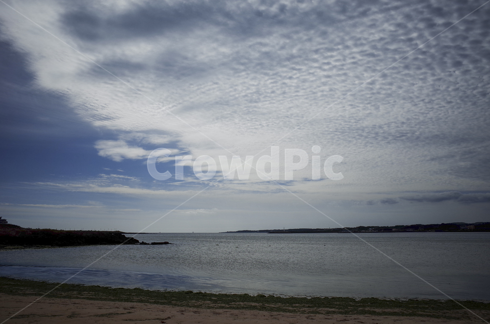 nature,자연,바다,ocean,sea,구름,양털구름,권적운,cloud,blue,자연,풍경,nature,landscape