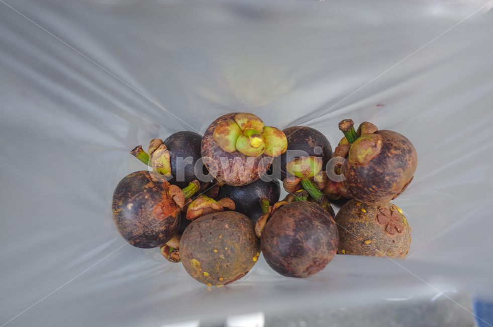 열대과일,과일,망고스틴,mangosteen,tropicalfruit,fruit,음식,식재료,요리,food,cook,meal,dishes,food reserves,과일,열매,fruit