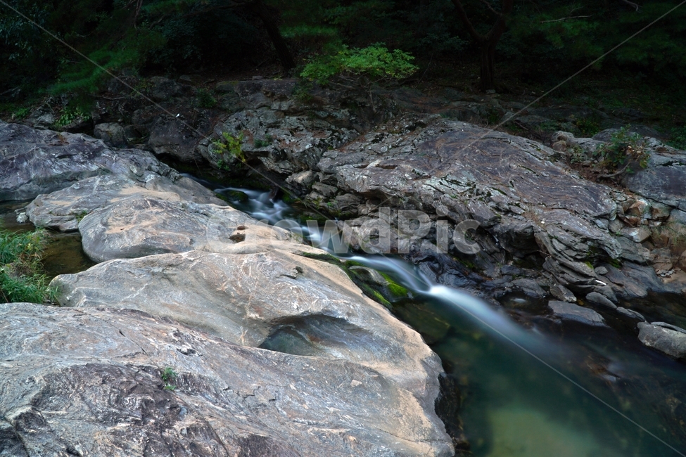 경기도,경기북부,동두천,탑동계곡,계곡,자연,한국자연,한국,korea,nature,valley,water,물,바위,돌,암석,rock,stone,tree,나무,이끼,풀,수풀,경치,scenery,scene,view,하천,시냇물,outdoors,옥외,creek,흐름,stream,개울,자연,풍경,nature,landscape