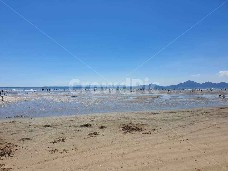 바다,해수욕장,구름,해안선,ocean,푸른하늘,beach,sea,자연,모래