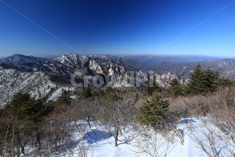 설악산,겨울산행,파란하늘,대청봉,능선,겨울나무,설원,등산,겨울,계절,winter,season,자연,풍경,nature,landscape,tree,나무,plant,식물,fir,전나무