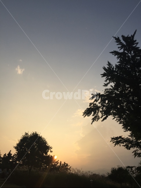 nature,빛,flare,자연,플레어,outdoors,옥외,light,자연,풍경,nature,landscape