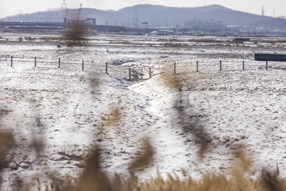 풍경,소래,눈,바다,겨울,소래습지,겨울,계절,winter,season,자연,풍경,nature,landscape,한국자연풍경,한국자연경관,korea nature landscape