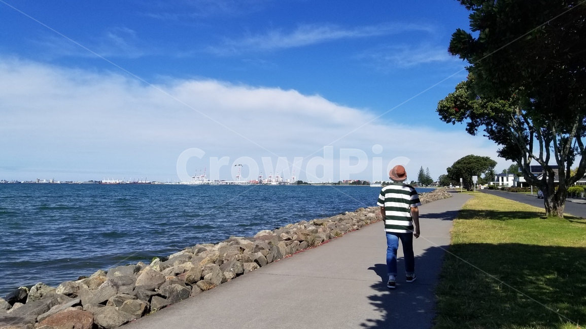 포후투카와,pohutukawa,타우랑가,뉴질랜드,tauranga,newzealand,바다,자연,sea,ocean,해안선,물,산책로,sky,사람,인물,인간,human,person,남성,남자,man,male