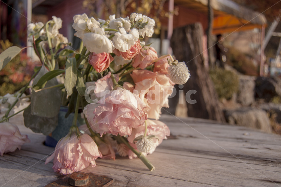 장미꽃다발,꽃다발,감성사진,꽃,소녀감성,빈티지,용마랜드,버려진,장미,rose,flower,vintage,bouquet,부케,식물,자연,plants,nature,꽃,flower,기념일,축하,anniversary,congratulation,celebrate,celebration,빈티지사진,빈티지느낌,빈티지감성,vintage