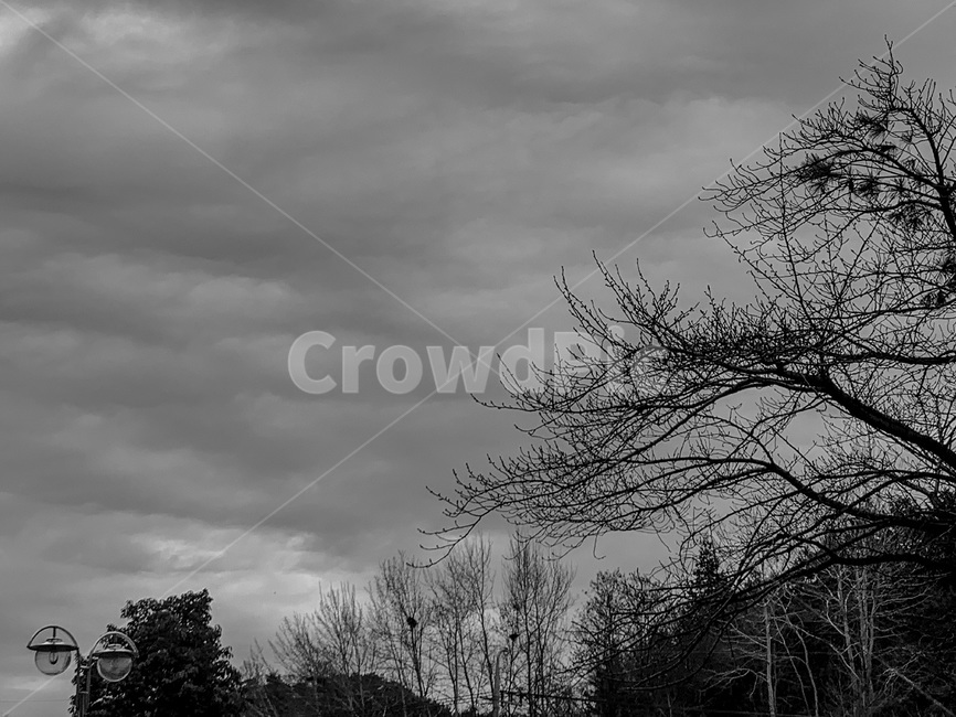 weather,날씨,nature,자연,흑백,흐림,구름