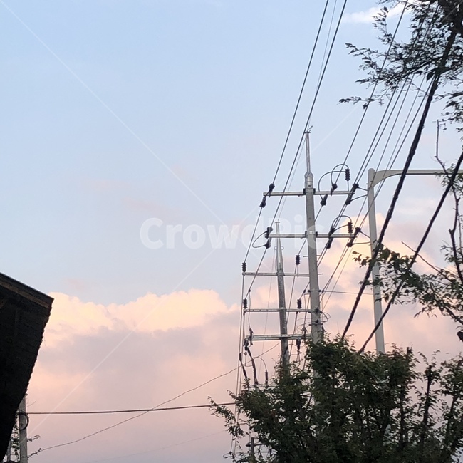 전깃줄,도로,구름,해질녘,하늘,케이블,나무,배경,에너지산업,energy industry