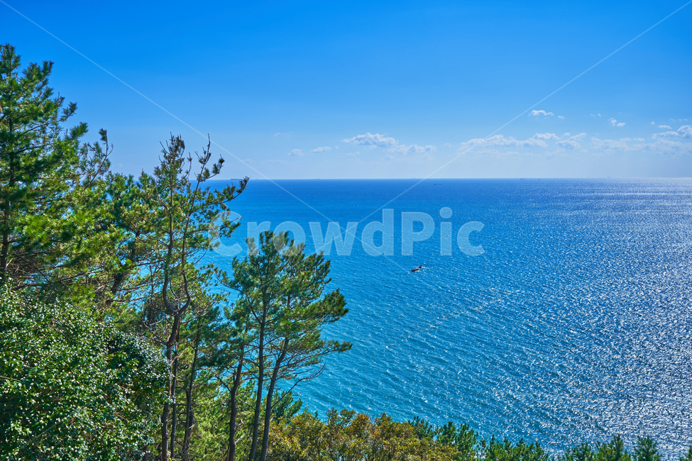 부산,바다,풍경,해운대,파도,하늘,여름,자연,풍경,nature,landscape,tree,나무,plant,식물,land,땅,outdoors,옥외,promontory,곶