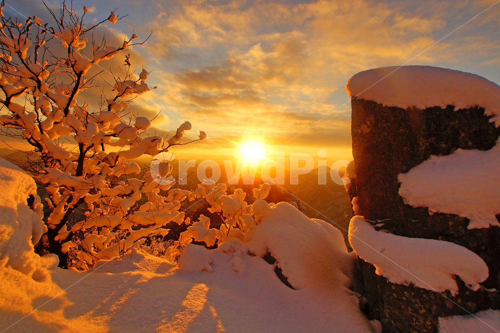 내장산,일출,설경,정읍,국립공원,겨울,계절,winter,season