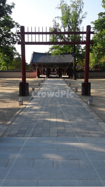 전주경기전,전주,경기전,나무,계단