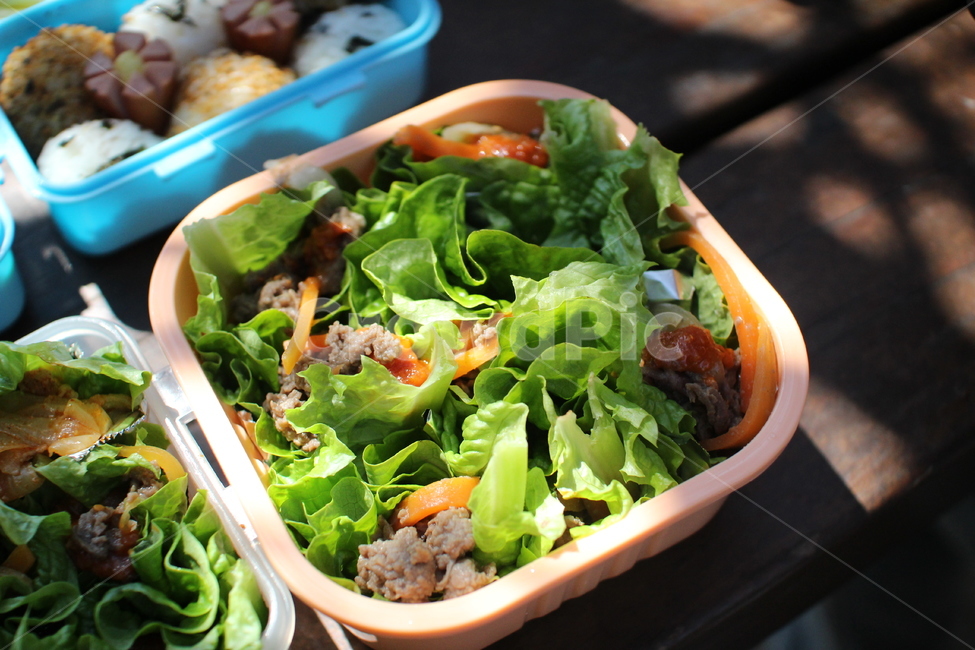 도시락,쌈밥,소풍,봄소풍,불고기,음식,식재료,요리,food,cook,meal,dishes,food reserves