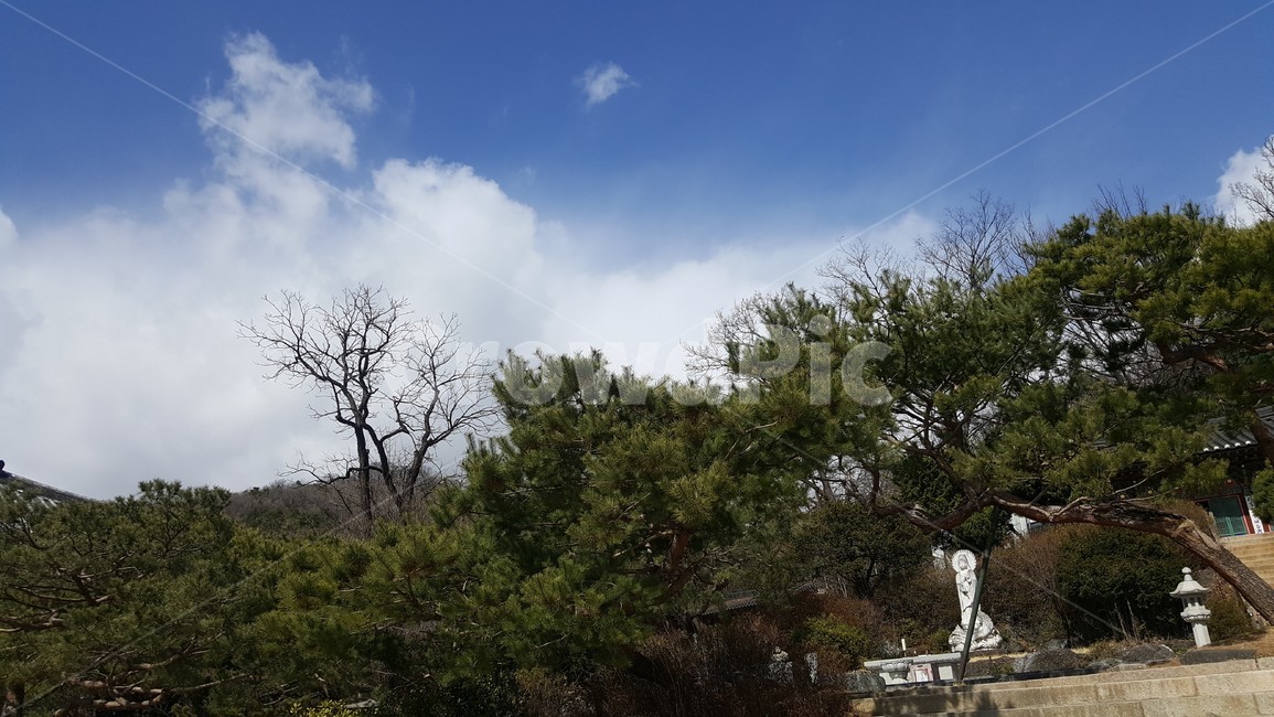 하늘,구름,파랑,배경,자연,배경사진