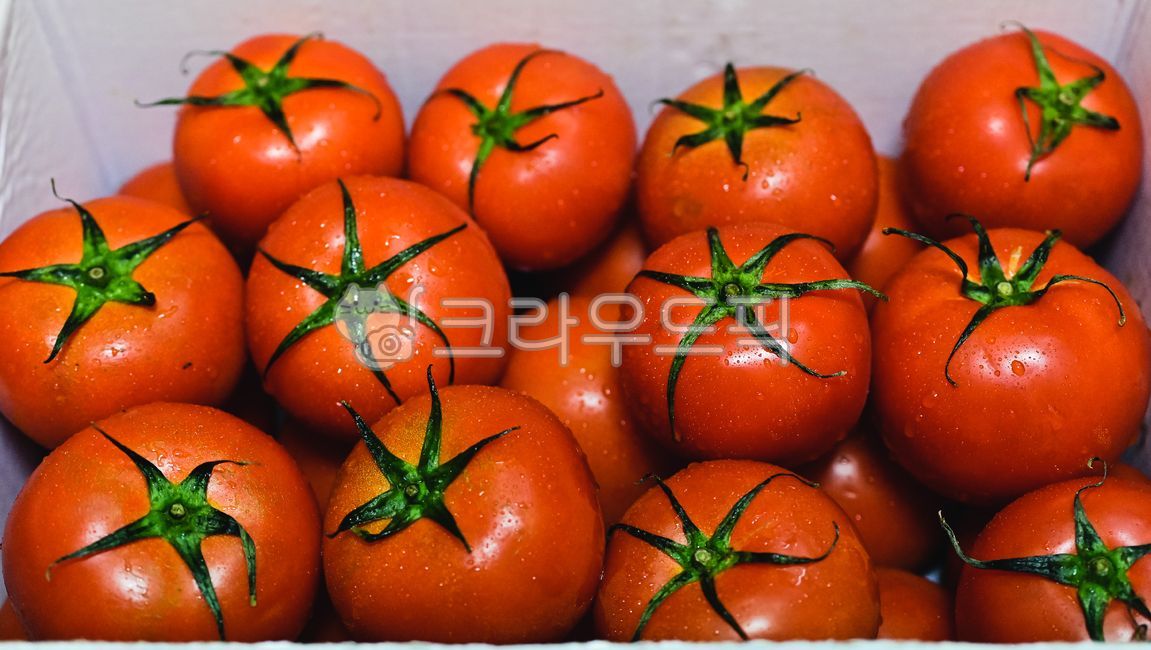 prepare,Tomato raw material,plant,red raw,tomato,vegetable
