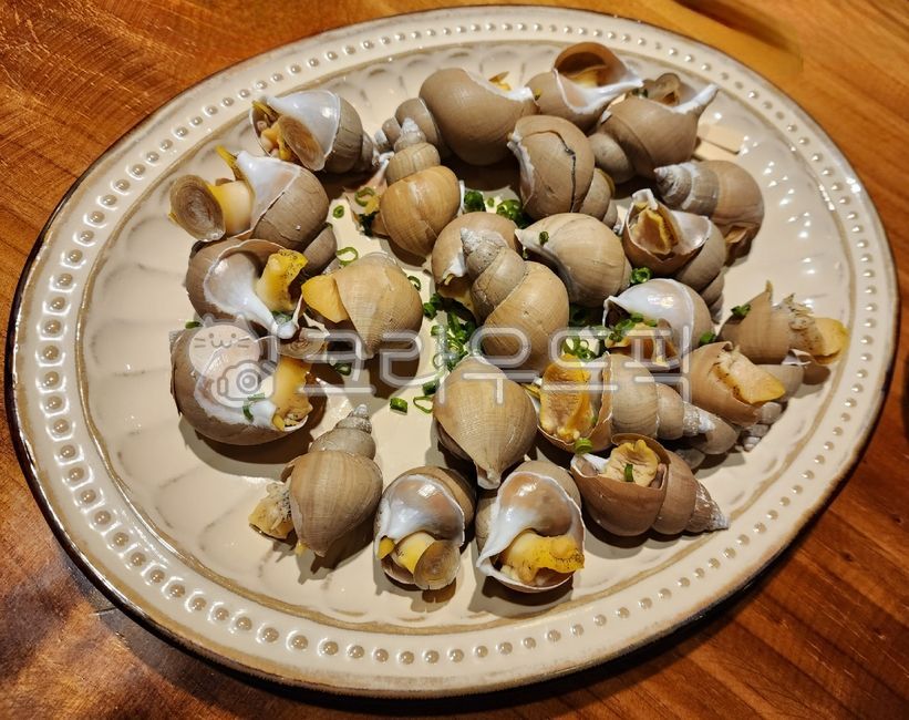 골뱅이숙회,골뱅이,백골뱅이,백골뱅이숙회,해산물,조개,seafood,해물,seashell,sealife