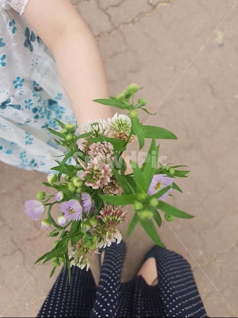 plant,식물,인간,꽃부케,flower,flowerbouquet,사람,꽃꽂이