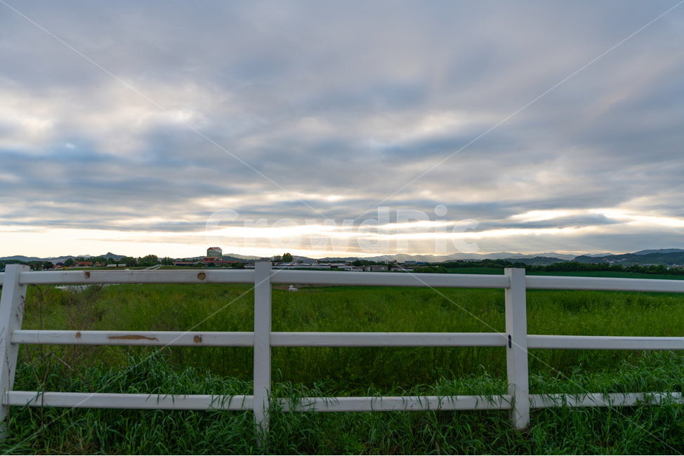 맑음,하늘,햇살,구름,풀,식물,나무,tree,plant,sunshine,sky,cloud,울타리,자연,풍경,nature,landscape,handrail,난간,banister,railing