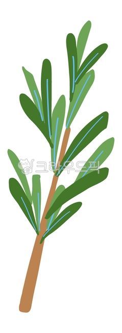 허브,로즈마리,허브일러스트,로즈마리일러스트,레시피,재료,음식,food,herb,herbillustration,recipe,herbdrawing