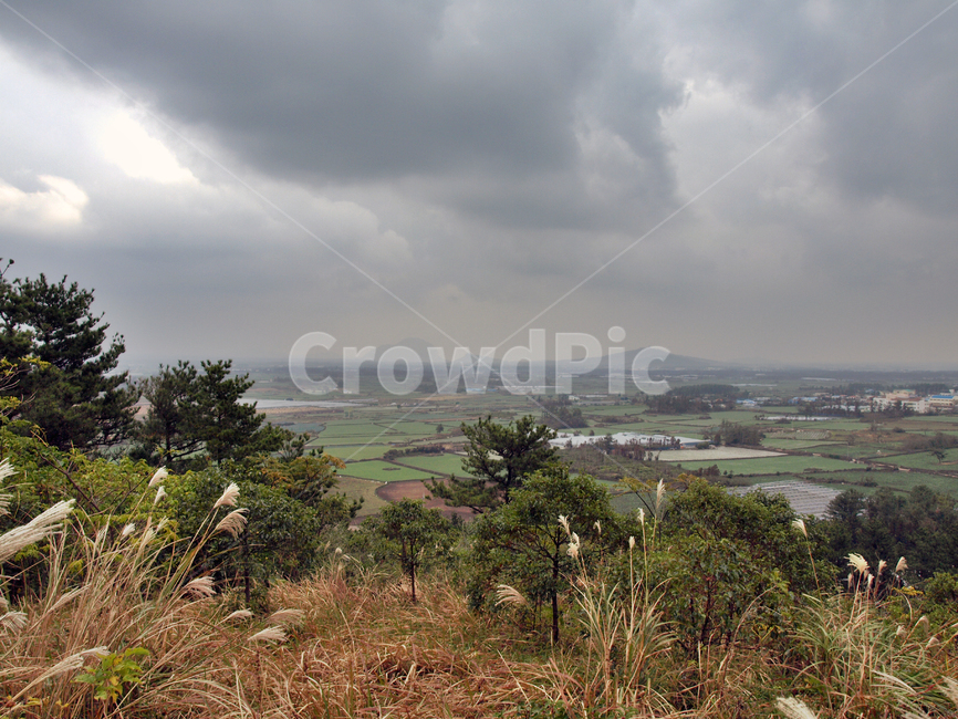 녹남봉,오름,올레12코스,올레길,제주,서귀포시,마을,자연,풍경,nature,landscape,한국자연풍경,한국자연경관,korea nature landscape,시골,마을,country,rural,town,outdoors,옥외,scenery