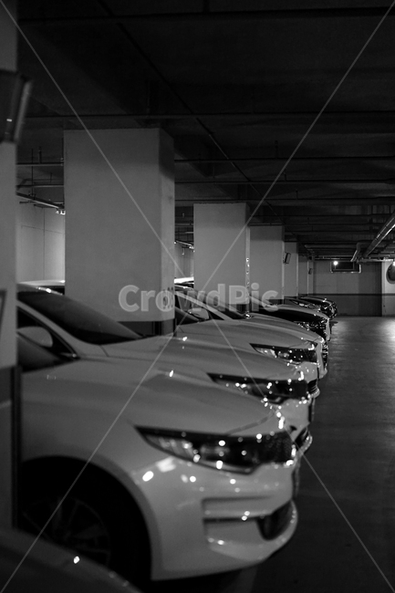 자동차,차,차량,car,교통수단,이동수단,주차장,parking,일렬,차고,흑백,흑백,모노톤,monochrome,black and white,교통,교통수단,traffic,transportation