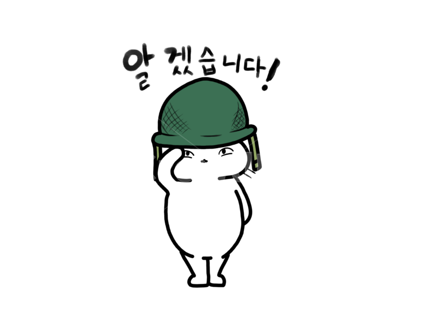고양이,군대,귀여운,표현,표정,누끼,remove background,그래픽,일러스트레이션,graphic,illustration