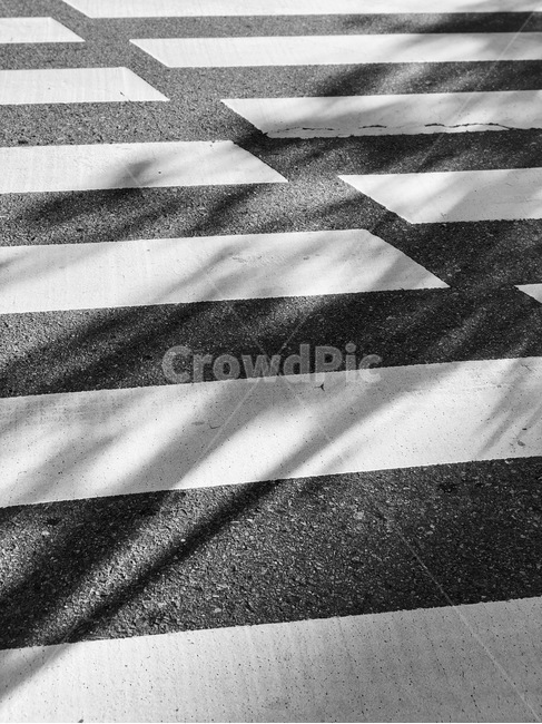 흑백,그림자,아스팔트,횡단보도,도로,흑백,모노톤,monochrome,black and white,교통,교통수단,traffic,transportation