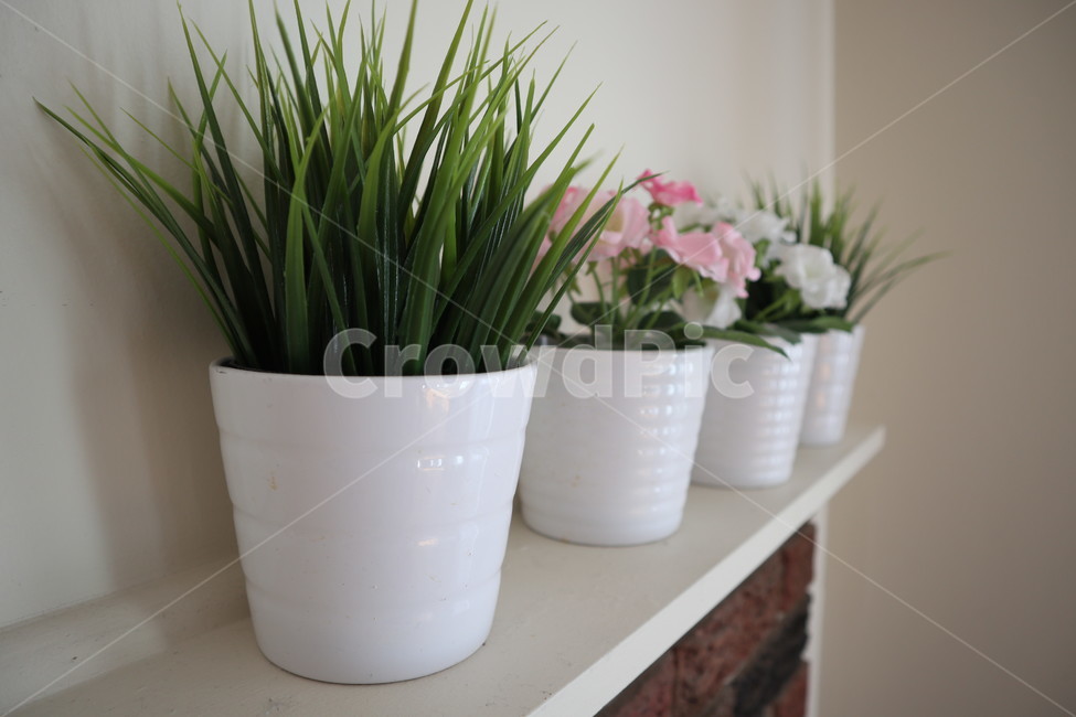 조화,화분,장식,돌벽,flower,꽃,핑크색,하얀색,식물,자연,plants,nature