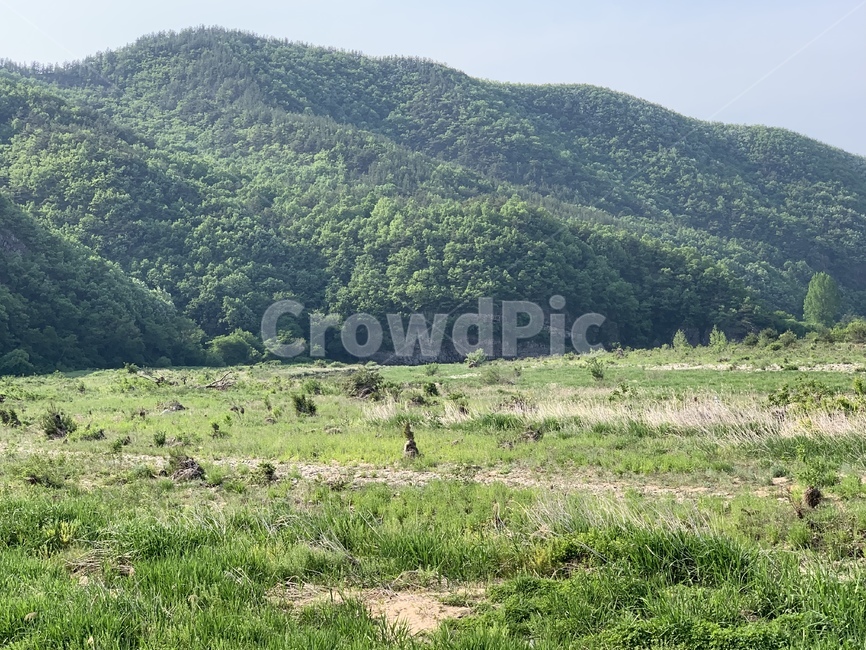 만휴정,안동,풀밭,자연,산,나무