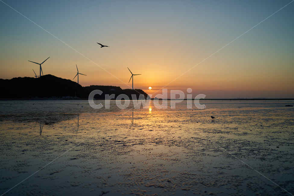 서해바다,노을,석양,영흥도,바닷가,해질녘,갈매기,저녁바다,자연,풍경,nature,landscape,한국자연풍경,한국자연경관,korea nature landscape,machine,기계,motor,모터,engine,엔진