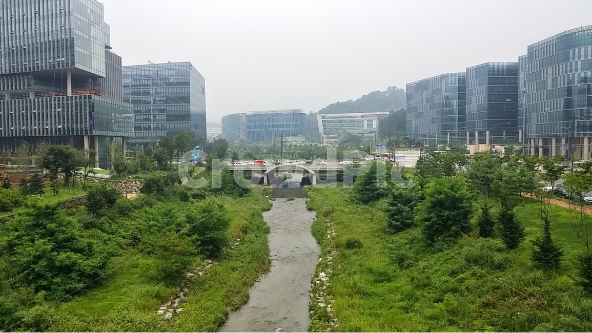 판교,테크노밸리,단지개발,판교테크노밸리,빌딩,업무단지,여름,삼평교,금토천,초록,흐린날,물가,다리,지역개발,도시개발,도시,풍경,city,landscape,한국도시풍경,한국도시경관,korea cityscape,water,물,outdoors,옥외