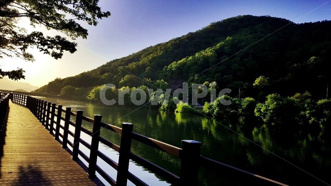 풍경,둘레길,자연,나무,저수지,물,자연,풍경,nature,landscape