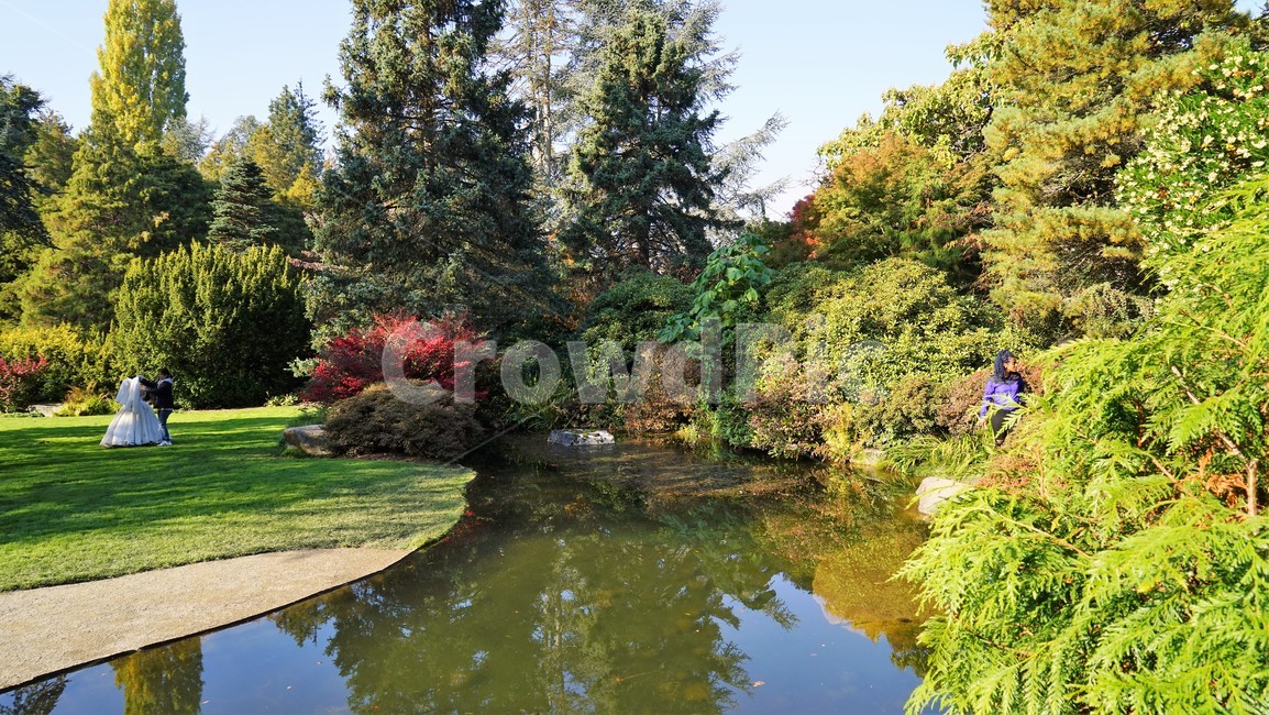 호수,자연,나무,식물,lake,nature,tree,plant,자연,풍경,nature,landscape,water,물,outdoors,옥외,land,땅