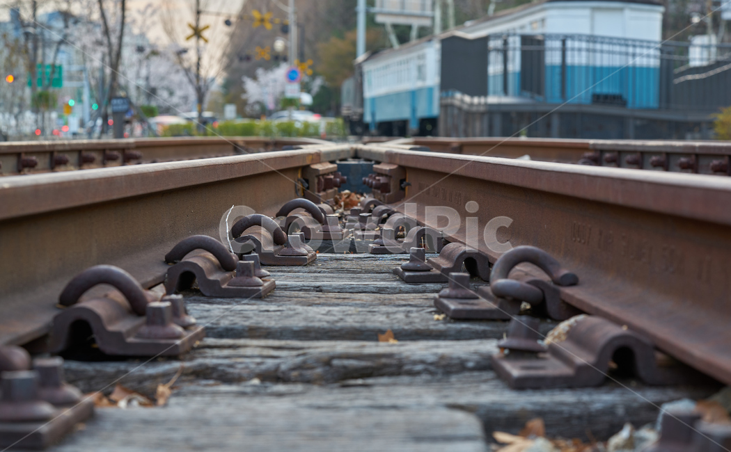 경춘선,철도공원,철도,기찻길,기차,교통,교통수단,traffic,railway,풍경