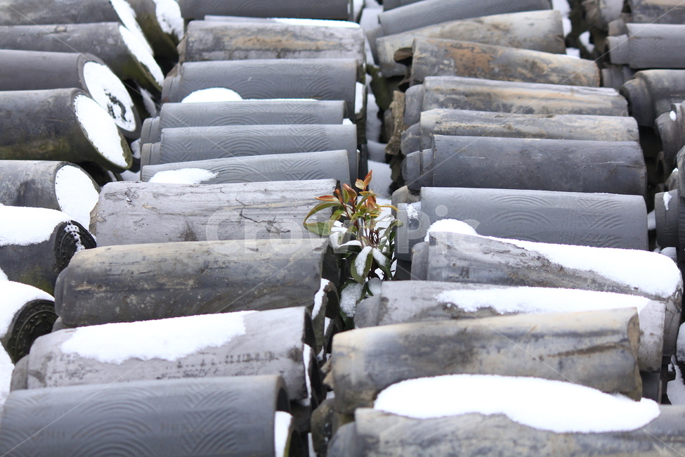 패턴,지붕,눈,기와,겨울,겨울,계절,winter,season,한국전통,한국문화,korean traditional,korean culture