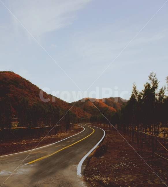 가을,길,분위기,감성사진,쓸쓸함,외로움,고독,낙엽,단풍,홀로,가을,계절,fall,autumn,season,자연,풍경,nature,landscape,감성,sensible,feeling,교통,교통수단,traffic,transportation,road,도로,asphalt,아스팔트,freeway,고속 도로,highway,고속도로