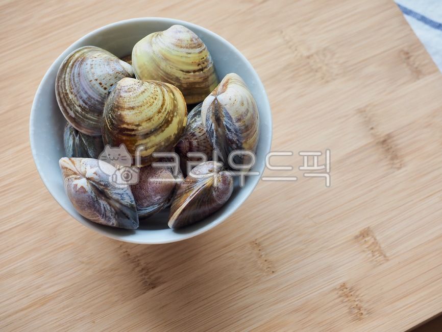 foodingredients,sealife,seashell,cookingingredients,clamshell,lilyclam,wellbeing,raw clams,Wellbeing food,Food Ingredients,invertebrate,fish and shellfish,marine life,seafood,lily shell,cooking ingredients,food,wellbeingfood,rawclam,background,clam