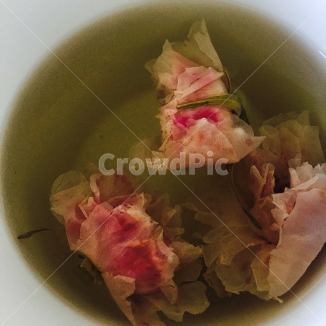 tea,장미차,rosetea,여유,핑크,음료수,drink,beverage
