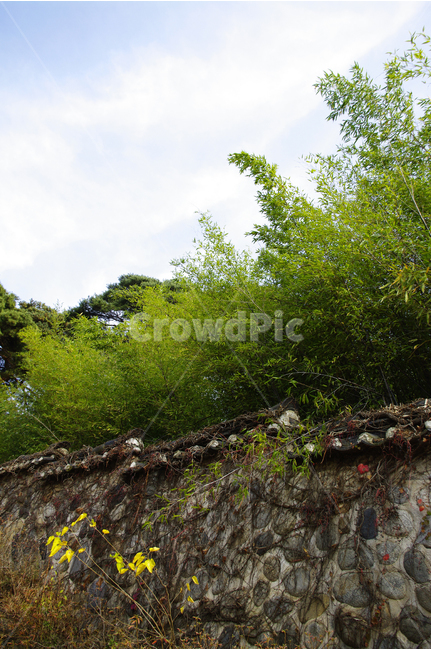 돌담,담장,담,대나무,하늘,전통,고택,한국,오죽헌,자연,풍경,nature,landscape,한국자연풍경,한국자연경관,korea nature landscape,한국전통,한국문화,korean traditional,korean culture,outdoors,옥외