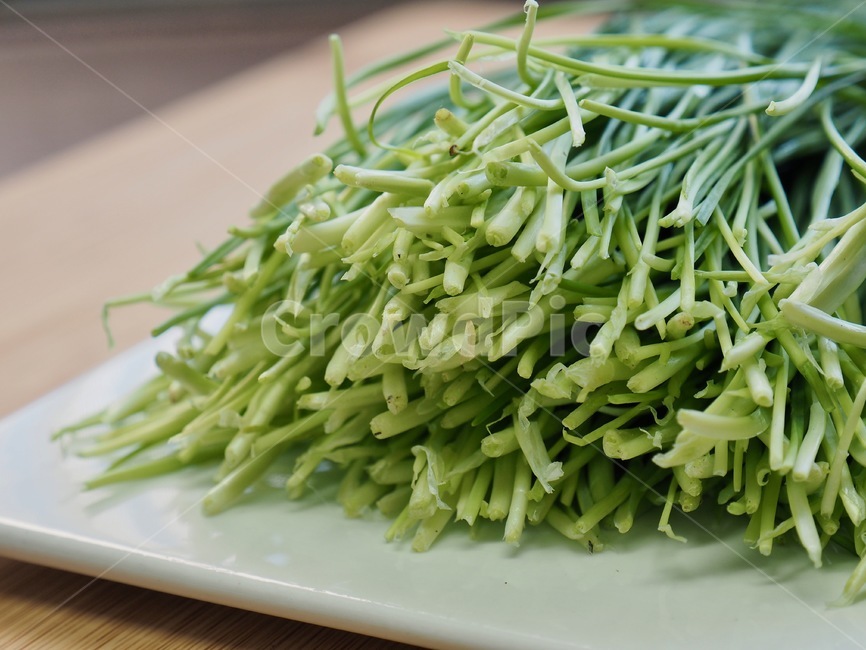 부추,유기농,유기농부추,채소,야채,음식,음식재료,녹색,chives,organic,organicleek,vegetable,food,foodingredients,green,음식,식재료,요리,food,cook,meal,dishes,food reserves,채소,야채,vegetables