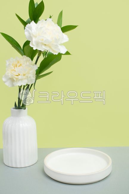 template,studio,deco,vase,platform,space,presentation,flowerarrangement,copy space,advertisement,wood,thalamus,product,business,water stand,display,center,tree,emptied,flower arrangement,Cosmetics advertisement,leaf,Exhibition,stage,wooden stand,backgroun