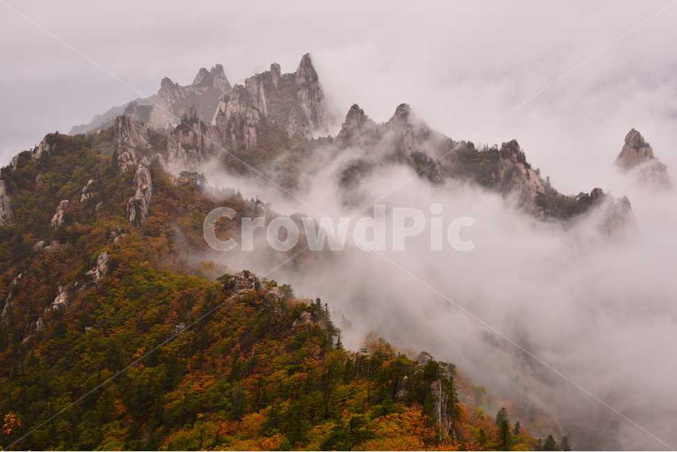 자연,산,가을,구름,풍경,가을,계절,fall,autumn,season,자연,풍경,nature,landscape,한국자연풍경,한국자연경관,korea nature landscape,weather,날씨,outdoors,옥외