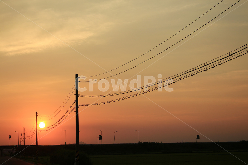 전신주,태양,전력,전기선,전봇대,에너지산업,energy industry