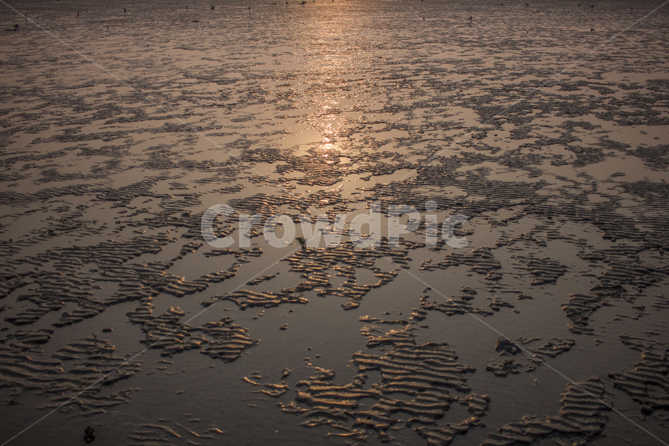 바다,갯벌,노을,석양,저녁,풍경,풍경사진,바다사진,바다풍경,자연,풍경,nature,landscape,outdoors,옥외