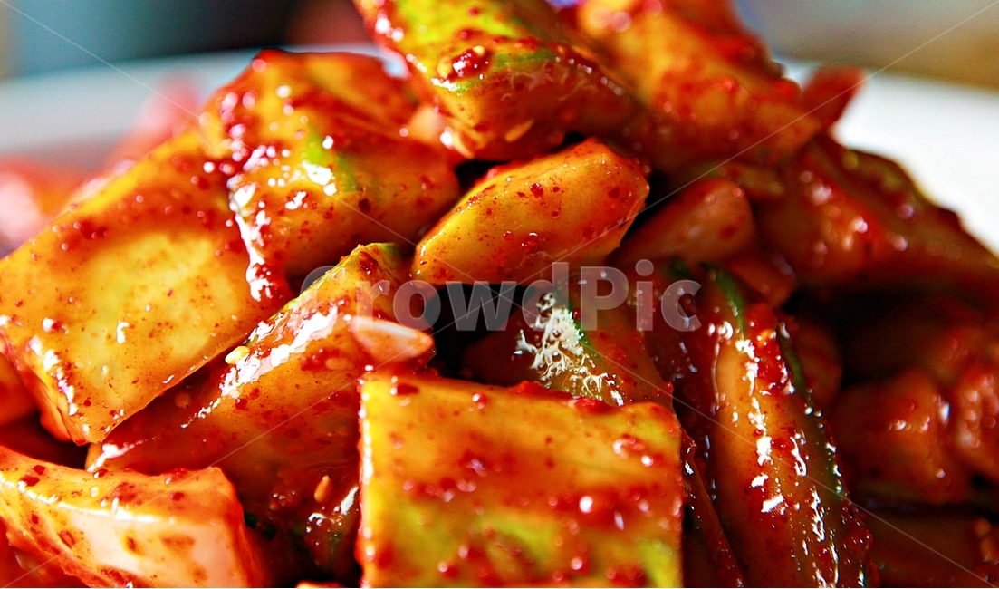 오이무침,오이,반찬,음식,요리,한식,음식,식재료,요리,food,cook,meal,dishes,food reserves
