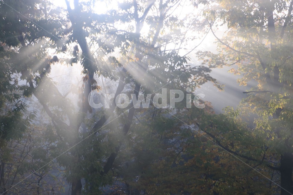 햇빛,플레어,sunlight,빛내림,light,날씨,nature,빛,weather,자연,자연,풍경,nature,landscape