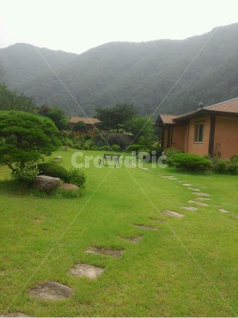 plant,식물,grass,잔디,집,자연,풍경,nature,landscape