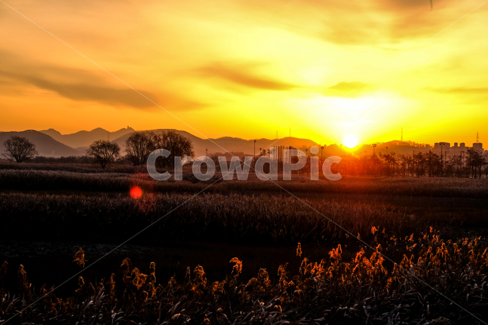 겨울,아침,안개,갈대,햇살,산,자연,풍경,자연,풍경,nature,landscape,light,빛,flare,플레어,sunlight,햇빛,outdoors,옥외,dawn,새벽,sky,하늘,red sky,붉은 하늘,sunset,일몰,dusk,황혼
