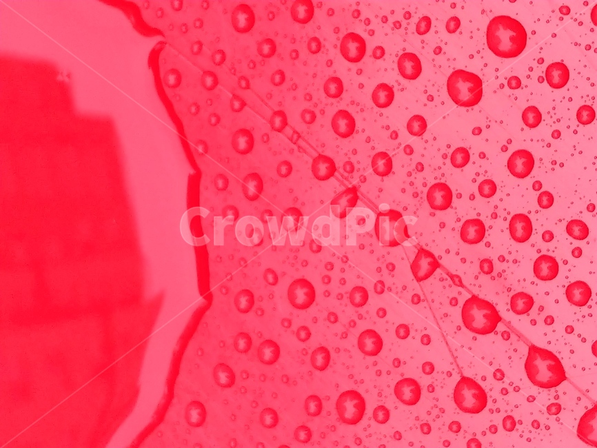 빨강,작은물방울,droplet,놀이터,물방울
